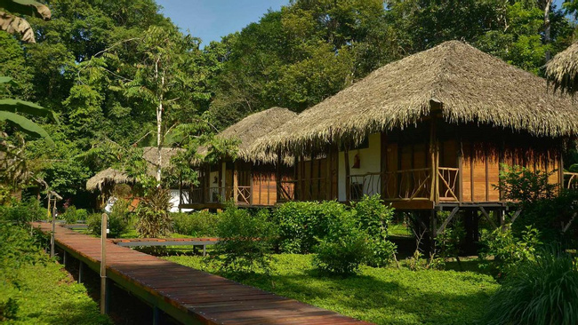 Sacha Lodge at Yasuni National Park Photo